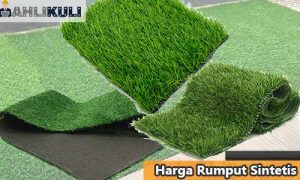 20 Harga Rumput Sintetis 2022 : Jenis, Tebal & Ukuran Terlengkap